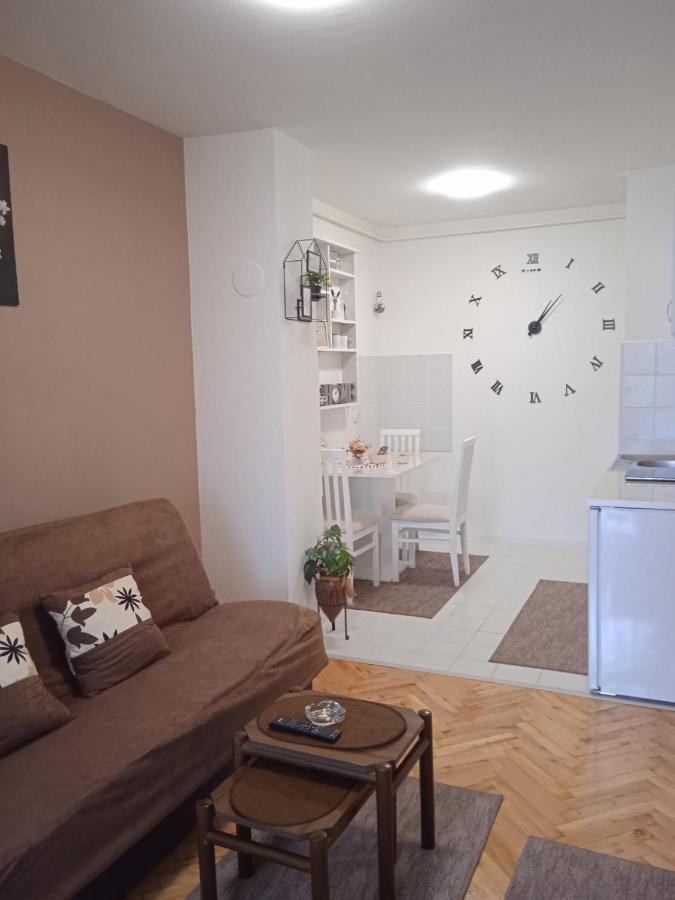 Apartman Breza Ruma község Kültér fotó